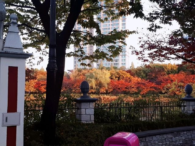 서울 데이트코스 추천, 롯데월드 잠실
