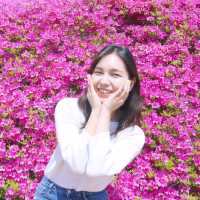 봄나들이 장소 '생초국제조각공원'