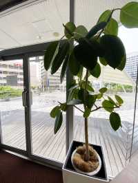 那覇🌴ヴィーガン対応の沖縄ローカルフードがおしゃれで美味しい💓 樂園CAFÉ