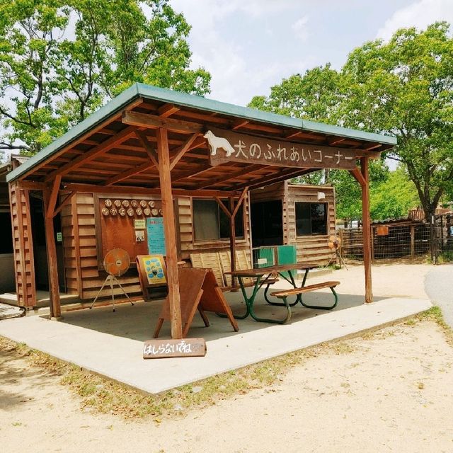 大型犬と山羊・ひつじにふれあえる！姫路セントラルパーク