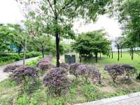 藝術公園賞花好去處