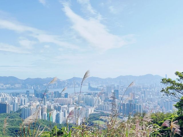 飛鵝山觀景台