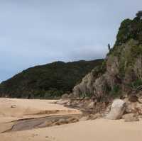뉴질랜드 해변을 따라 걷는 아벨타즈만 트랙🇳🇿🌊