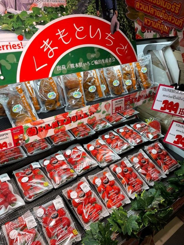 DON DON DONKI MBK 