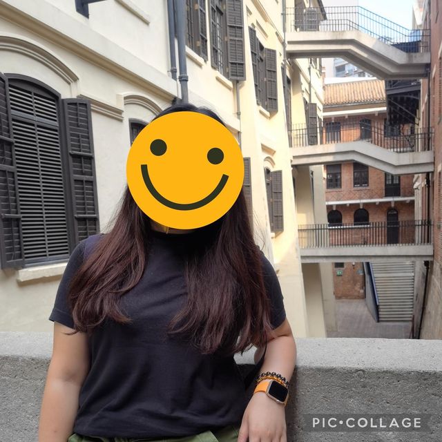 altTitle