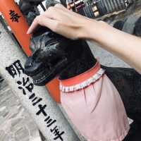 【福岡】今を益々豊かに