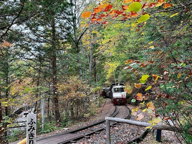 赤沢森林鉄道