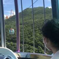 A theme park with more nature than artificial elements 