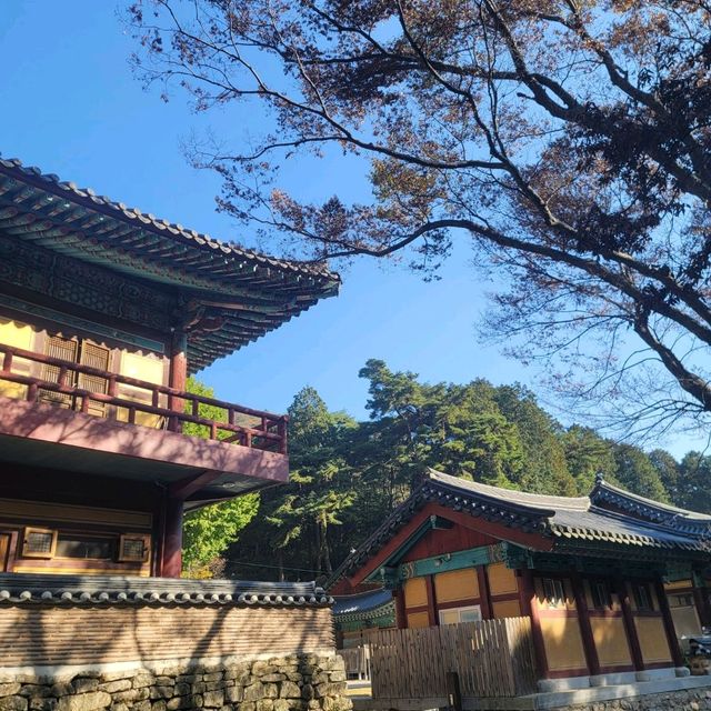 단풍여행 동학사