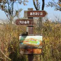 인생샷 건지고 싶다면? 인천 여행 필수코스!