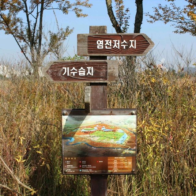 인생샷 건지고 싶다면? 인천 여행 필수코스!