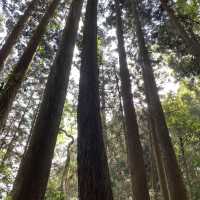 這裡是苗栗加里山