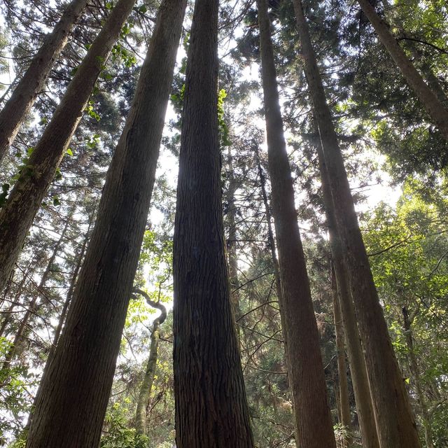 這裡是苗栗加里山