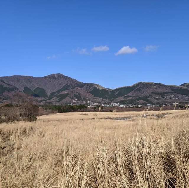 Sengokubara Susuki Sougen (Grass Field)