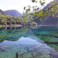 The exotic beauty of Jiuzaigou