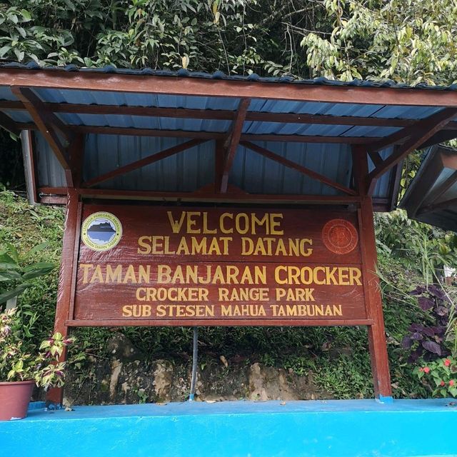 MAHUA WATERFALL 