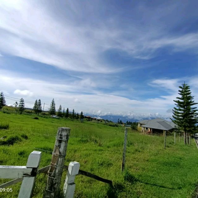 Great moment in nature view