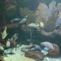Sea World Ancol