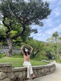 가을 여행지 추천 :: 화담숲🌳