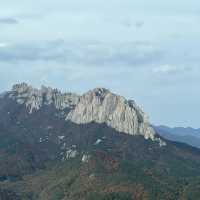 [속초] 단풍 시즌인 지금 가야 진짜❗️설악산⛰