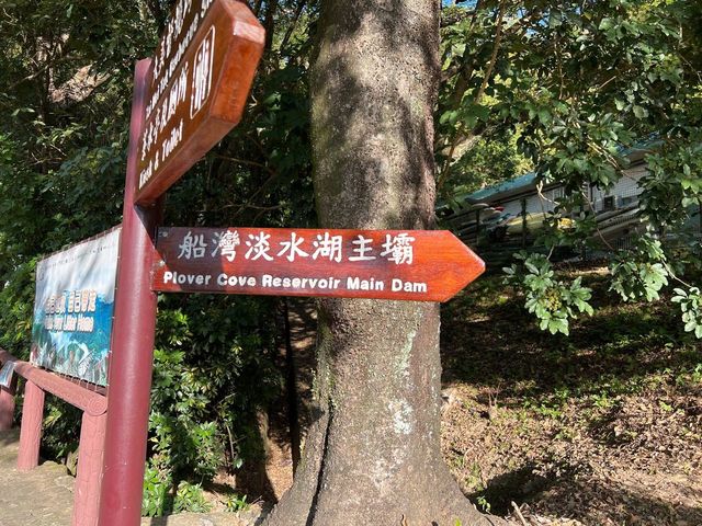 遠眺八仙嶺 — 船灣淡水湖主壩