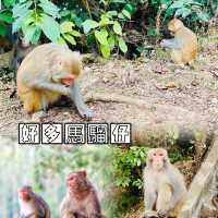 城門水塘