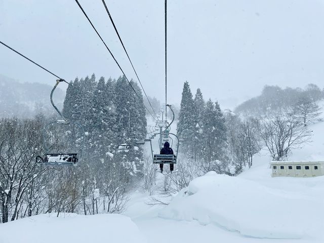 【秋田】たざわ湖スキー場③ゲレンデ＆レンタル