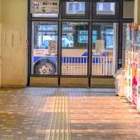 円山バスターミナル