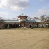 河内長野公園で遊ぼう！
