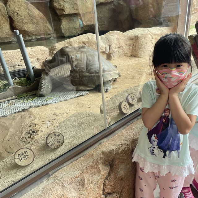 海洋公園返嚟啦！