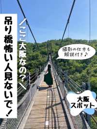 吊り橋嫌いな人は見ないでください！