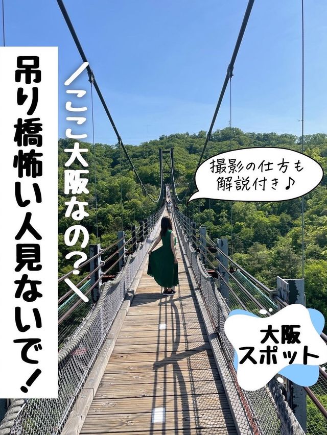 吊り橋嫌いな人は見ないでください！