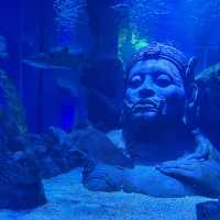 Sea life bangkok ocean world