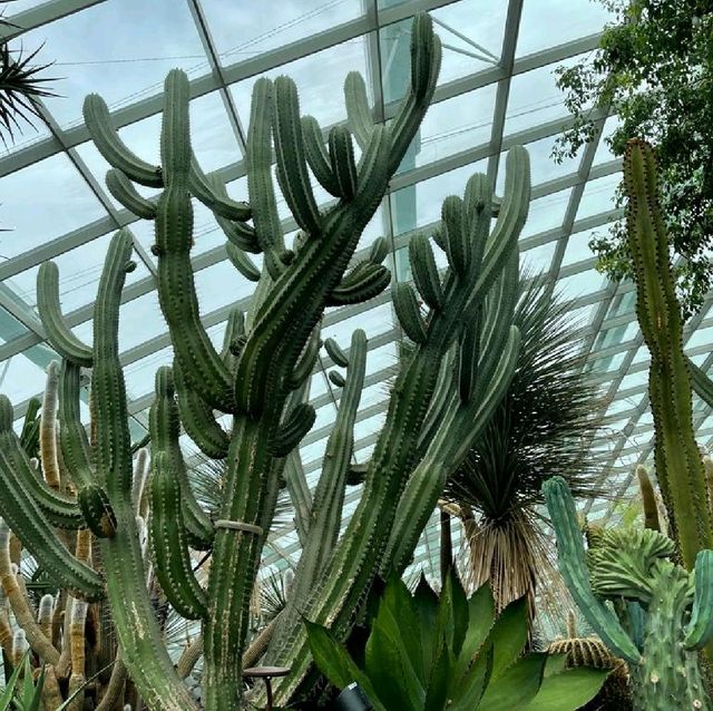 The World Tallest Indoor Waterfall