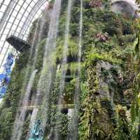The World Tallest Indoor Waterfall