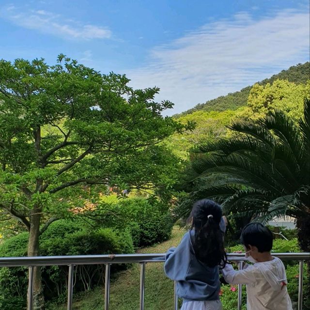 산림욕 하기 좋은 제주 한라수목원