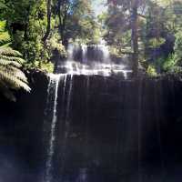 The Highly Visited Horseshoe Falls