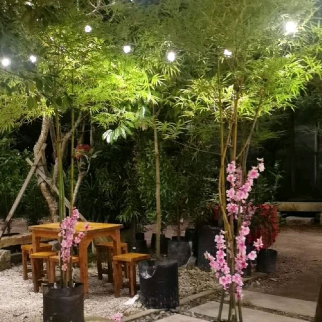 糖水店