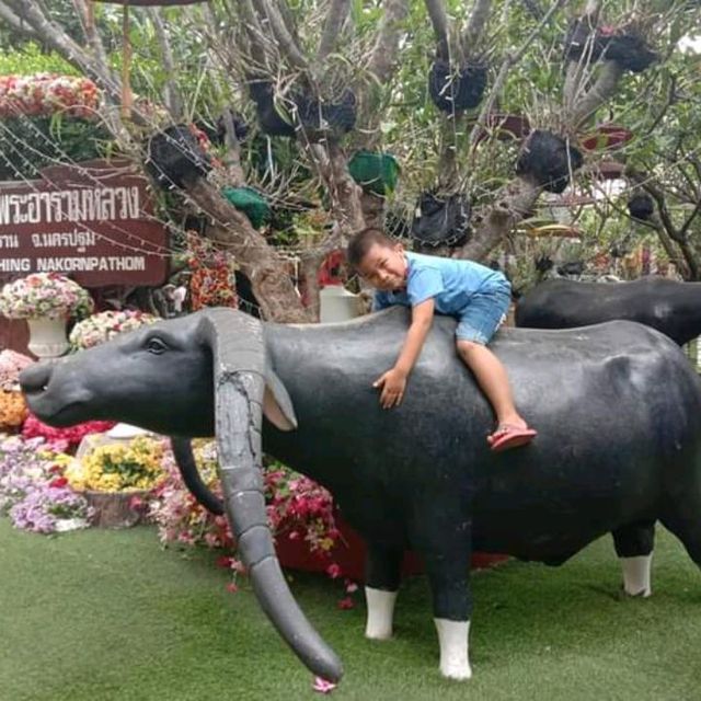 ไหว้พระขอพร@วัดไร่ขิง