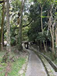 猶如去咗外國 香港大學打卡點