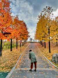 경남 거창 도시숲죽전공원, 분설담은 단풍놀이 숨겨진 명소🍂🍁