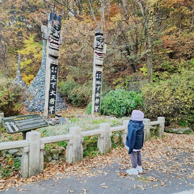 비슬산 가을풍경 11월초 단풍절정