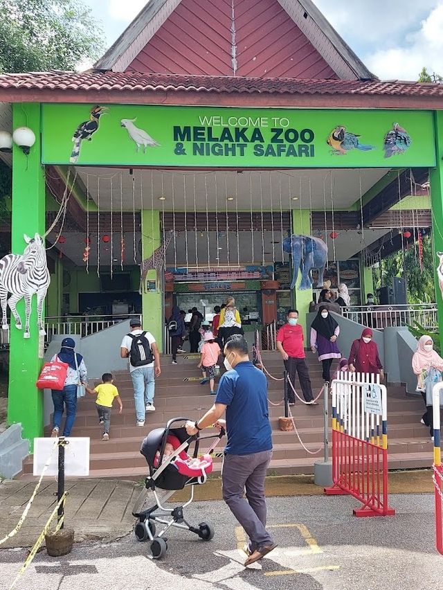 Malacca Zoo 🦒✨