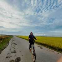 Triangle Farm Cottage Nearby Paddy Field