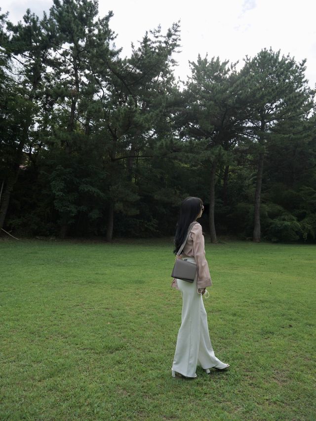 창원 가로수길 
