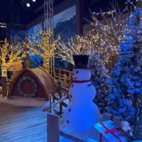 《🎅🏻海洋公園～HO HO HO 🔔 好「芬」• 好玩 · 好聖誕🎄》