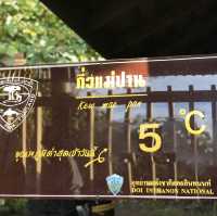 กิ่วแม่ปาน ดอยอินทนนท์⛰️🍃