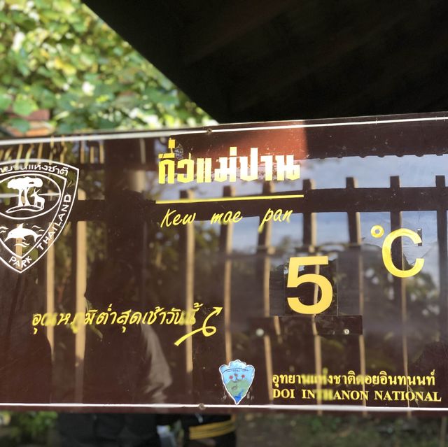 กิ่วแม่ปาน ดอยอินทนนท์⛰️🍃