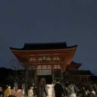 京都紅葉2022  清水寺のライトアップに圧倒される！