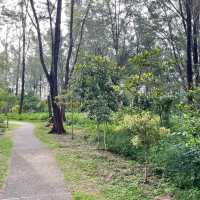 Natural Park in the Northeast of SG 